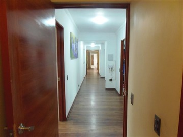 Imagen 11