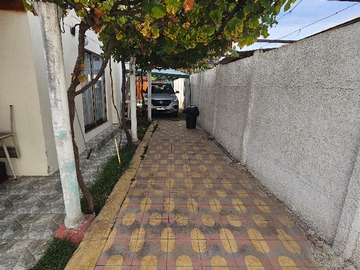 Imagen 19