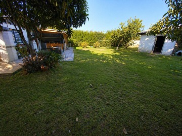 Imagen 11
