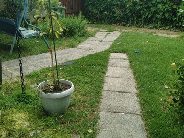 Patio delantero