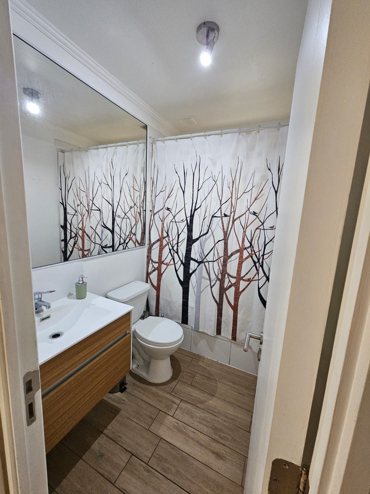Baño suite