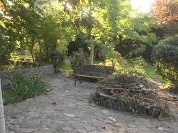 Imagen 20