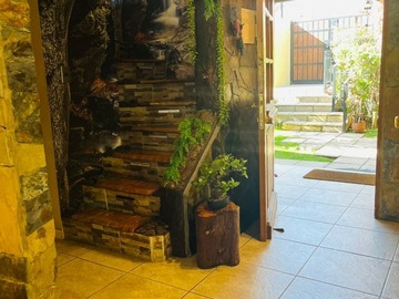Imagen 5
