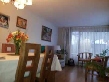 Imagen 11