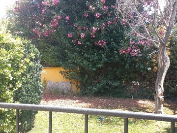 Imagen 5