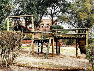 Imagen 15