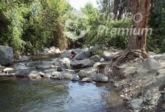 Imagen 29