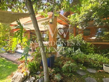 Imagen 21