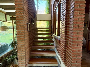 Imagen 6