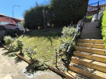 Imagen 23