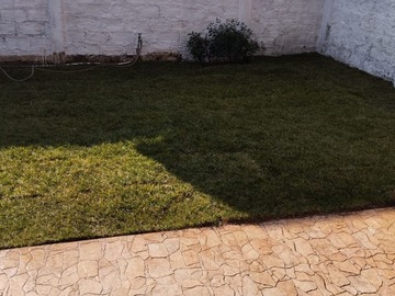 Imagen 29