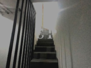 Imagen 22