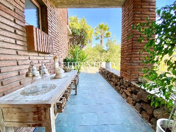 Imagen 8