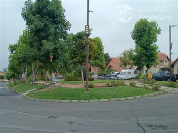 Imagen 13