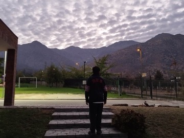 Imagen 14
