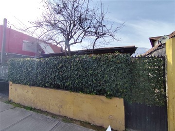 Imagen 13