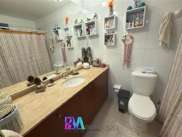 Imagen 13