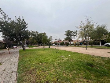 Imagen 20