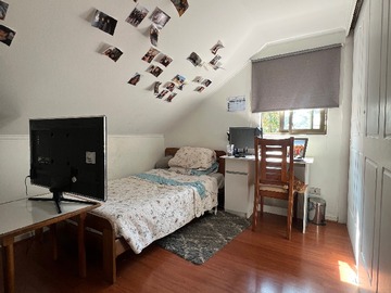 Imagen 21