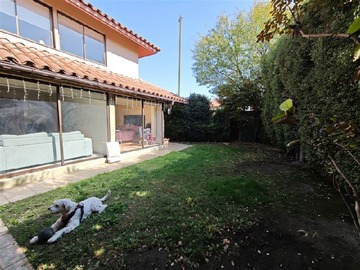 Imagen 18