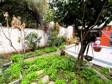 Imagen 26