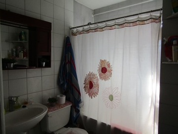 Imagen 11