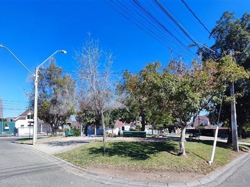 Imagen 21