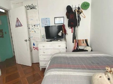 Imagen 11