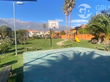 Imagen 12
