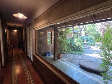 Imagen 6