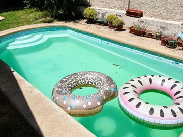 Imagen 6