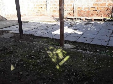 Imagen 5