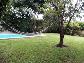 Imagen 6