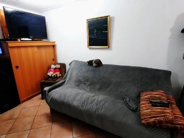 Imagen 10