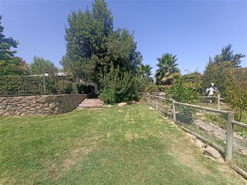 Imagen 11