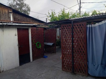 Imagen 16