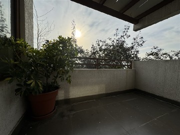 Imagen 29