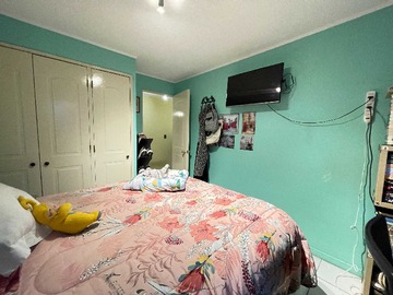 Imagen 11