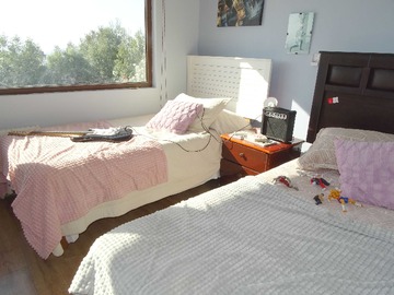 Imagen 15