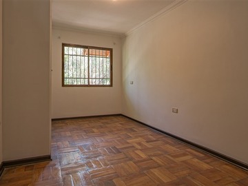 Imagen 19
