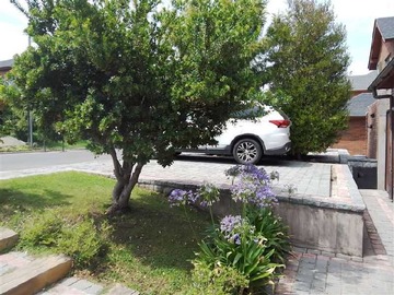 Imagen 19