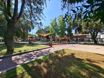 Imagen 19