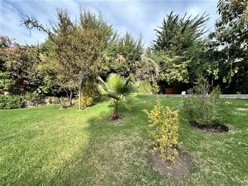 Imagen 24