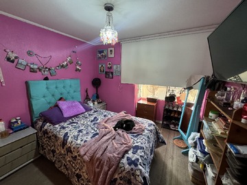 Imagen 9