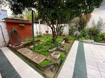 Imagen 23