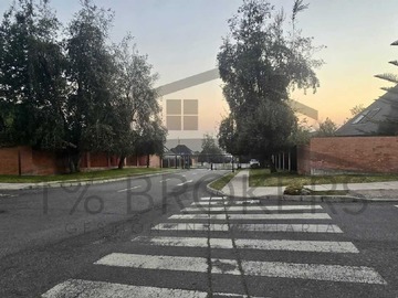 Imagen 19