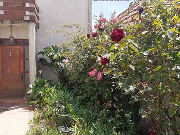 Venta / Casa / Penco