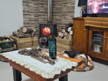 Imagen 7