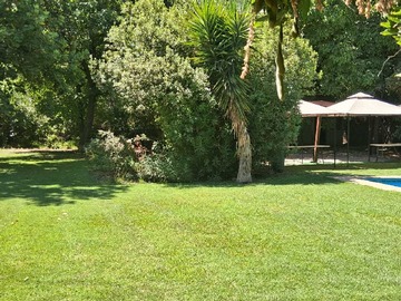 Imagen 20