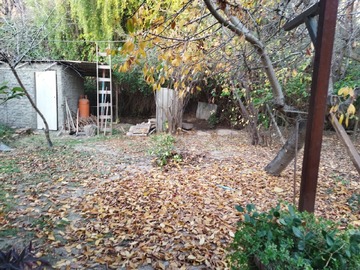 Imagen 33